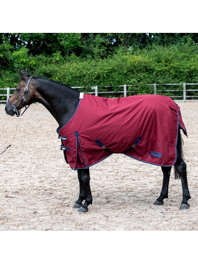 R280 Lupin 100g Turnout Rug in Ruby - Sizes 4'9-7'0